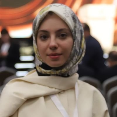 Sena Darbaz's profile picture