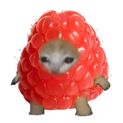 reka's profile picture