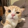 dj 的头像