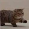 . profil fotoğrafı