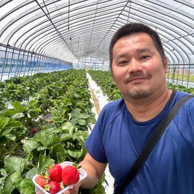 たい's profile picture