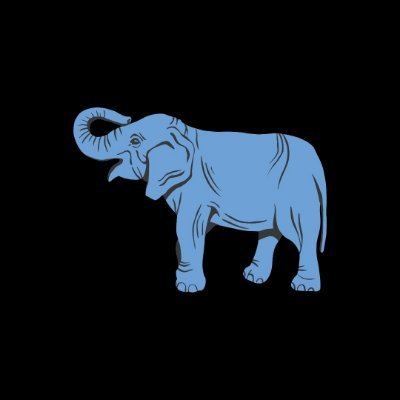 timlayer's profile picture