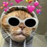 Profilbild von niks