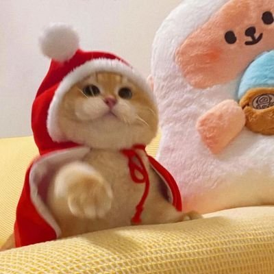 Thantawan.'s profile picture