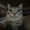 Фото профиля Abdu