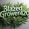 blazedgrower420's profile picture