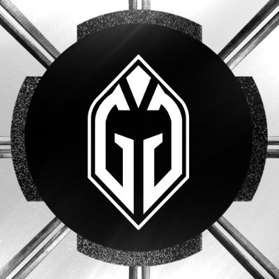Gladiators Esports ⚔️'s profile picture