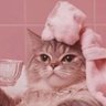 Profilbild von ℒ𝓊𝒶