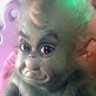 Beige Grinch 的头像