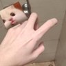 鱼我所欲也's profile picture