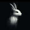 Profilbild von Rio