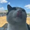 Profilbild von とも