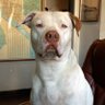 Rebel Meister's profile picture