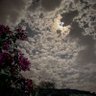 قطر الندى 🌠 的头像