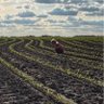 CNH guy profil fotoğrafı