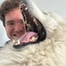 Daniel Kaiser 的头像