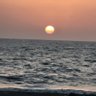 مجاهد's profile picture