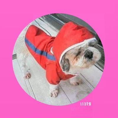 Yumi1201KingGnu's profile picture