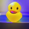Profilbild von Kim 🦆