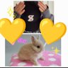 ๐ป๐ผ๐ง๐๐ฃ๐ช๐ผ's profile picture