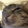 armpit appreciator's profile picture