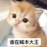 沉砂 的头像