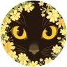 rinka profil fotoğrafı