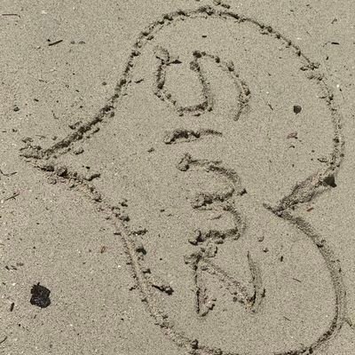 Simz's profile picture