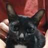 BOBO profil fotoğrafı