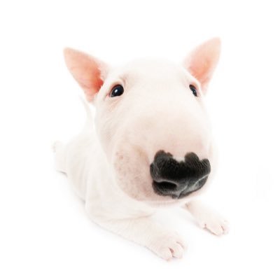 kkaedoong2's profile picture