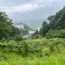 平和の父母v2 profil fotoğrafı