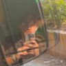 shourya profil fotoğrafı
