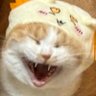 Profilbild von Mr_匿名