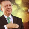 Zerrin Ekici's profile picture