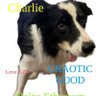 Charlie.eth profil fotoğrafı
