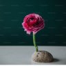 Fariha Nazish's profile picture