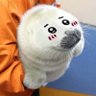 Niko loves seals ♡🦭 profil fotoğrafı