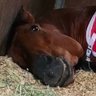 Profilbild von ともてぃ