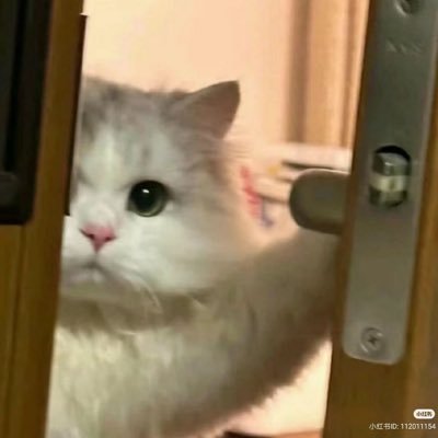 Deensam's profile picture