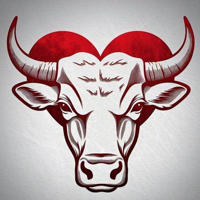 Lover โค๏ธ bull's profile picture