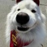 Profilbild von Avery国伟