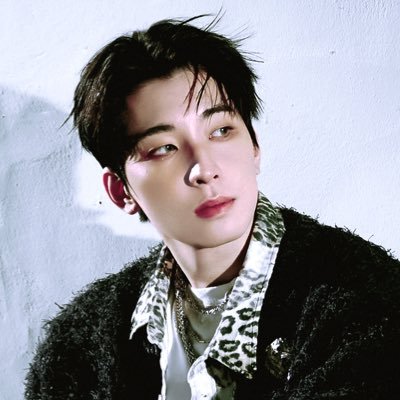 svtfever_13's profile picture