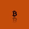 XGCrypto's profile picture