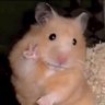 Becaa44's profile picture