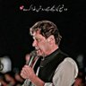 Profilbild von Rabia Khan