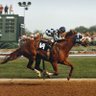 Фото профиля Bettor Bets