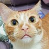 cimi-cimi's profile picture