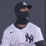 ant's profile picture