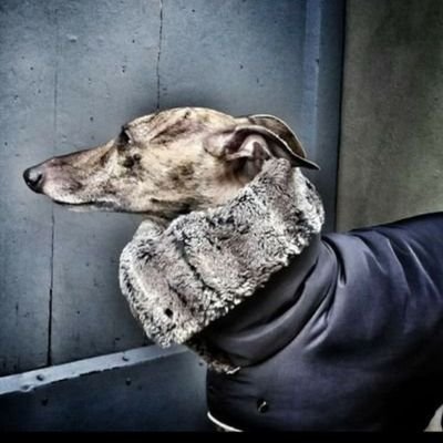 Duncanilcan's profile picture