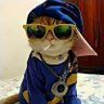 Gato dos Vazados ❌️'s profile picture